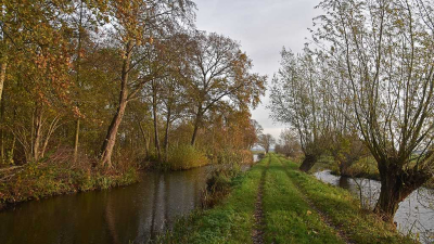 <i class='fa fa-user'></i> kooyammers |  Herfst langs Groene Kerkweg  <i class='fa fa-eye'> 24</i>   <i class='fa fa-comment-o'> 1</i>