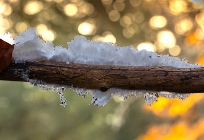 <i class='fa fa-user'></i> David |  IJshaar  <i class='fa fa-eye'> 60</i>  <i class='fa fa-thumbs-up'> 1</i>   <i class='fa fa-comment-o'> 3</i>