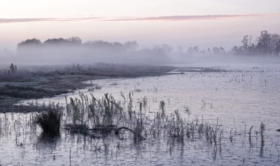 <i class='fa fa-user'></i> nelappelmelk |  Mist en vorst  <i class='fa fa-eye'> 42</i>   <i class='fa fa-comment-o'> 3</i>