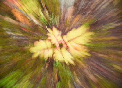 <i class='fa fa-user'></i> Jurgen Maassen |  Creatief bezig met de zoomring  <i class='fa fa-eye'> 39</i>   <i class='fa fa-comment-o'> 4</i>