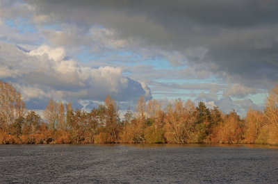 <i class='fa fa-user'></i> Tineke Strijbosch |  Hollands herfstbeeld  <i class='fa fa-eye'> 20</i>  <i class='fa fa-thumbs-up'> 1</i>   <i class='fa fa-comment-o'> 1</i>