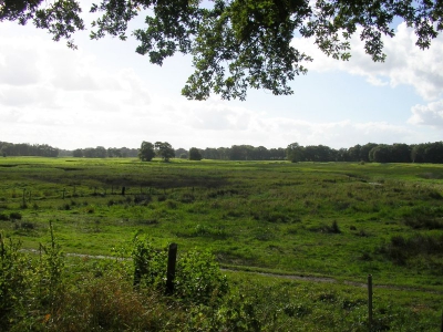 Het licht in oktober in de middag is warm en rijk. Het weelderige landschap van de Drentsche Aa bij Schipborg wordt er schilderachtig van.