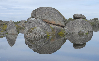 <i class='fa fa-user'></i> sieb |  Rots  <i class='fa fa-eye'> 67</i>  <i class='fa fa-thumbs-up'> 2</i>   <i class='fa fa-comment-o'> 6</i>