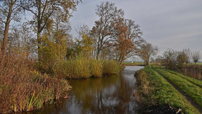 <i class='fa fa-user'></i> kooyammers |  Herfst langs Groene Kerkweg II  <i class='fa fa-eye'> 27</i>   <i class='fa fa-comment-o'> 0</i>