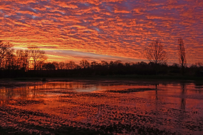 <i class='fa fa-user'></i> Nel R |  Dageraad  <i class='fa fa-eye'> 25</i>  <i class='fa fa-thumbs-up'> 2</i>   <i class='fa fa-comment-o'> 5</i>