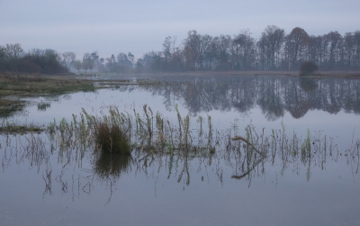 <i class='fa fa-user'></i> nelappelmelk |  Rustige morgen  <i class='fa fa-eye'> 13</i>   <i class='fa fa-comment-o'> 0</i>