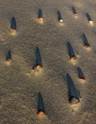 <i class='fa fa-user'></i>&nbsp;Nel R&nbsp;| Schaduwen&nbsp; <i class='fa fa-eye'>&nbsp;80</i> &nbsp;<i class='fa fa-thumbs-up'>&nbsp;7</i> &nbsp; <i class='fa fa-comment-o'>&nbsp;4</i>