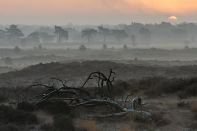 <i class='fa fa-user'></i> Pieter  LJ |  Ochtendgloren  <i class='fa fa-eye'> 86</i>  <i class='fa fa-thumbs-up'> 4</i>   <i class='fa fa-comment-o'> 4</i>