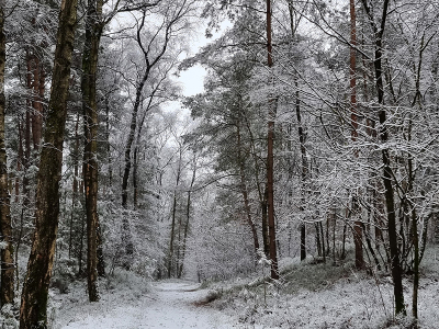 <i class='fa fa-user'></i> guidomwm |  Landschap  <i class='fa fa-eye'> 72</i>   <i class='fa fa-comment-o'> 4</i>