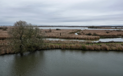 <i class='fa fa-user'></i> nelappelmelk |  Uitzicht vanaf toren Roerdomp  <i class='fa fa-eye'> 34</i>   <i class='fa fa-comment-o'> 0</i>
