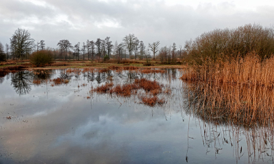 <i class='fa fa-user'></i>&nbsp;nelappelmelk&nbsp;|  Winterse kleuren&nbsp; <i class='fa fa-eye'>&nbsp;47</i> &nbsp;<i class='fa fa-thumbs-up'>&nbsp;1</i> &nbsp; <i class='fa fa-comment-o'>&nbsp;3</i>