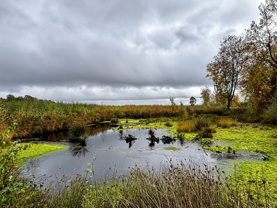 <i class='fa fa-user'></i>&nbsp;Jacolienl&nbsp;|  Dreigende lucht&nbsp; <i class='fa fa-eye'>&nbsp;53</i> &nbsp; <i class='fa fa-comment-o'>&nbsp;2</i>