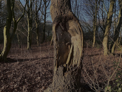 <i class='fa fa-user'></i>&nbsp;frbeuming&nbsp;|  Schietwilg&nbsp; <i class='fa fa-eye'>&nbsp;16</i> &nbsp; <i class='fa fa-comment-o'>&nbsp;0</i>