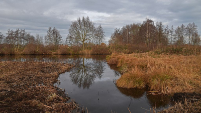 <i class='fa fa-user'></i>&nbsp;kooyammers&nbsp;|  Boom&nbsp; <i class='fa fa-eye'>&nbsp;15</i> &nbsp; <i class='fa fa-comment-o'>&nbsp;0</i>