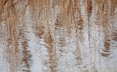 <i class='fa fa-user'></i>&nbsp;nelappelmelk&nbsp;|  Weerspiegelingen&nbsp; <i class='fa fa-eye'>&nbsp;6</i> &nbsp; <i class='fa fa-comment-o'>&nbsp;0</i>