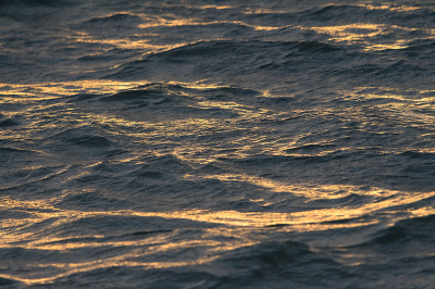 <i class='fa fa-user'></i>&nbsp;Willem Verhagen&nbsp;|  Goudwater&nbsp; <i class='fa fa-eye'>&nbsp;5</i> &nbsp; <i class='fa fa-comment-o'>&nbsp;0</i>