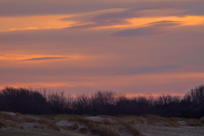 <i class='fa fa-user'></i>&nbsp;Willem Verhagen&nbsp;|  Westduinpark&nbsp; <i class='fa fa-eye'>&nbsp;4</i> &nbsp; <i class='fa fa-comment-o'>&nbsp;0</i>