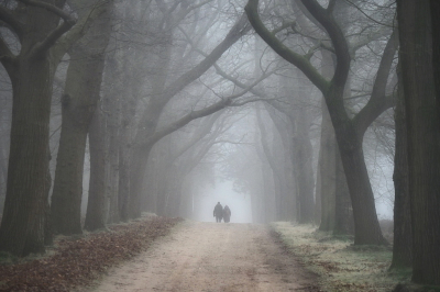 <i class='fa fa-user'></i>&nbsp;boerke&nbsp;|  Sallandse Heuvelrug&nbsp; <i class='fa fa-eye'>&nbsp;66</i> &nbsp;<i class='fa fa-thumbs-up'>&nbsp;3</i> &nbsp; <i class='fa fa-comment-o'>&nbsp;6</i>