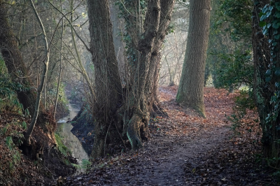 <i class='fa fa-user'></i>&nbsp;nelappelmelk&nbsp;|  Sprengengebied&nbsp; <i class='fa fa-eye'>&nbsp;68</i> &nbsp; <i class='fa fa-comment-o'>&nbsp;8</i>