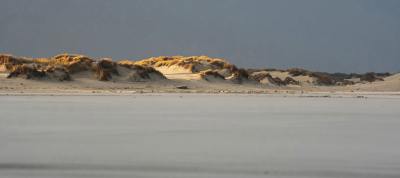 <i class='fa fa-user'></i>&nbsp;Eef Kieft&nbsp;|  Duintop in de spotlights&nbsp; <i class='fa fa-eye'>&nbsp;67</i> &nbsp; <i class='fa fa-comment-o'>&nbsp;7</i>