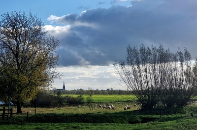 <i class='fa fa-user'></i>&nbsp;guidomwm&nbsp;|  Landschap vanaf Dieren Zuid&nbsp; <i class='fa fa-eye'>&nbsp;24</i> &nbsp; <i class='fa fa-comment-o'>&nbsp;0</i>