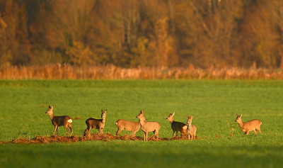 <i class='fa fa-user'></i>&nbsp;Eric Gibcus&nbsp;|  Ree&nbsp; <i class='fa fa-eye'>&nbsp;9</i> &nbsp; <i class='fa fa-comment-o'>&nbsp;2</i>