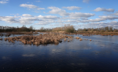 <i class='fa fa-user'></i>&nbsp;nelappelmelk&nbsp;|  Beetje ijs&nbsp; <i class='fa fa-eye'>&nbsp;2</i> &nbsp; <i class='fa fa-comment-o'>&nbsp;0</i>