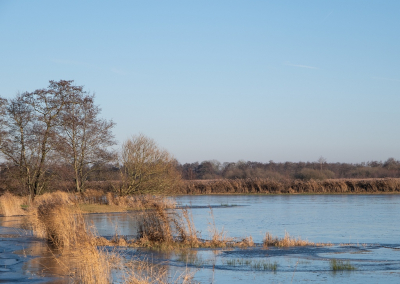 <i class='fa fa-user'></i>&nbsp;Tim Oord&nbsp;|  Het eerste ijs&nbsp; <i class='fa fa-eye'>&nbsp;38</i> &nbsp; <i class='fa fa-comment-o'>&nbsp;2</i>