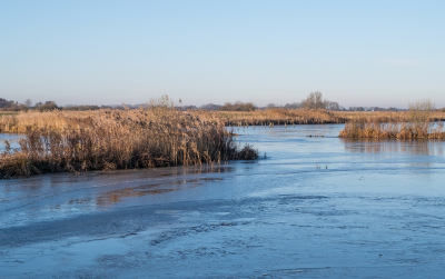 <i class='fa fa-user'></i>&nbsp;Tim Oord&nbsp;|  Het eerste ijs&nbsp; <i class='fa fa-eye'>&nbsp;40</i> &nbsp; <i class='fa fa-comment-o'>&nbsp;2</i>