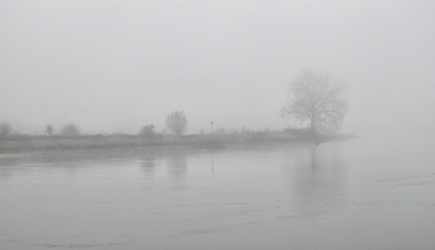 <i class='fa fa-user'></i>&nbsp;nelappelmelk&nbsp;|  Dichte mist&nbsp; <i class='fa fa-eye'>&nbsp;64</i> &nbsp;<i class='fa fa-thumbs-up'>&nbsp;1</i> &nbsp; <i class='fa fa-comment-o'>&nbsp;3</i>