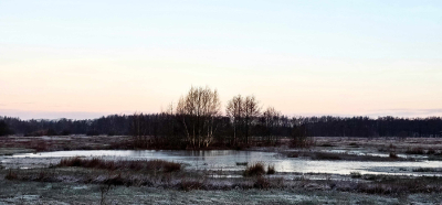 <i class='fa fa-user'></i>&nbsp;guidomwm&nbsp;|  Landschap in de vroege morgen&nbsp; <i class='fa fa-eye'>&nbsp;17</i> &nbsp; <i class='fa fa-comment-o'>&nbsp;0</i>