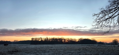 <i class='fa fa-user'></i>&nbsp;guidomwm&nbsp;|  Landschap bij Zonsopgang met wat vee&nbsp; <i class='fa fa-eye'>&nbsp;23</i> &nbsp; <i class='fa fa-comment-o'>&nbsp;0</i>