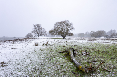 <i class='fa fa-user'></i>&nbsp;Pieter  LJ&nbsp;|  Sneeuwbui aan de Waal&nbsp; <i class='fa fa-eye'>&nbsp;64</i> &nbsp; <i class='fa fa-comment-o'>&nbsp;6</i>