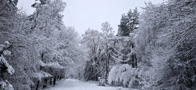 <i class='fa fa-user'></i>&nbsp;guidomwm&nbsp;|  Landschap met sneeuw&nbsp; <i class='fa fa-eye'>&nbsp;100</i> &nbsp;<i class='fa fa-thumbs-up'>&nbsp;7</i> &nbsp; <i class='fa fa-comment-o'>&nbsp;10</i>