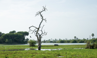 <i class='fa fa-user'></i>&nbsp;JeroenAsilia&nbsp;|  Afrikaans landschap&nbsp; <i class='fa fa-eye'>&nbsp;31</i> &nbsp; <i class='fa fa-comment-o'>&nbsp;2</i>