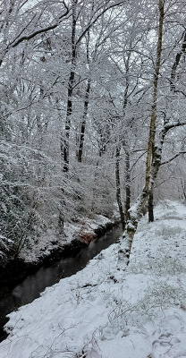 <i class='fa fa-user'></i>&nbsp;guidomwm&nbsp;|  Landschap met Soerense beek&nbsp; <i class='fa fa-eye'>&nbsp;18</i> &nbsp; <i class='fa fa-comment-o'>&nbsp;0</i>