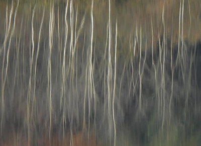 <i class='fa fa-user'></i>&nbsp;sieb&nbsp;|  Herfst, abstract&nbsp; <i class='fa fa-eye'>&nbsp;20</i> &nbsp; <i class='fa fa-comment-o'>&nbsp;0</i>