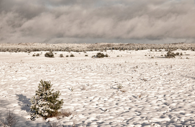 <i class='fa fa-user'></i>&nbsp;nelappelmelk&nbsp;|  Sneeuw op komst&nbsp; <i class='fa fa-eye'>&nbsp;63</i> &nbsp; <i class='fa fa-comment-o'>&nbsp;3</i>