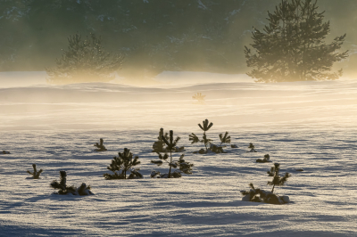 <i class='fa fa-user'></i>&nbsp;David&nbsp;|  Licht over de sneeuw&nbsp; <i class='fa fa-eye'>&nbsp;69</i> &nbsp;<i class='fa fa-thumbs-up'>&nbsp;1</i> &nbsp; <i class='fa fa-comment-o'>&nbsp;6</i>