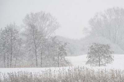 <i class='fa fa-user'></i>&nbsp;Johan van Gurp&nbsp;|  Winters landschap&nbsp; <i class='fa fa-eye'>&nbsp;76</i> &nbsp;<i class='fa fa-thumbs-up'>&nbsp;8</i> &nbsp; <i class='fa fa-comment-o'>&nbsp;8</i>
