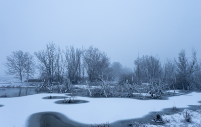 <i class='fa fa-user'></i>&nbsp;Pieter  LJ&nbsp;|  Buitenpolder Munnikenland&nbsp; <i class='fa fa-eye'>&nbsp;42</i> &nbsp; <i class='fa fa-comment-o'>&nbsp;1</i>