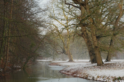 <i class='fa fa-user'></i>&nbsp;hesterb&nbsp;|  Nu hier ook sneeuw&nbsp; <i class='fa fa-eye'>&nbsp;48</i> &nbsp;<i class='fa fa-thumbs-up'>&nbsp;1</i> &nbsp; <i class='fa fa-comment-o'>&nbsp;3</i>