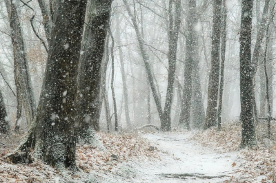 xxxxxxxxxxxxxxxxxxxxxxxxxxxxxxxxxxxxxxxxxxxxxxxxxxxxxxxxxxxxxxxxxxxxxxxxxxxxxxxxxxxxxxxxxxxxxxxxxxxxxxxxxxxxxxxxxxxxxxxxxxxxxxxxxxxxxxxxxxxxxxxxxxxxxx