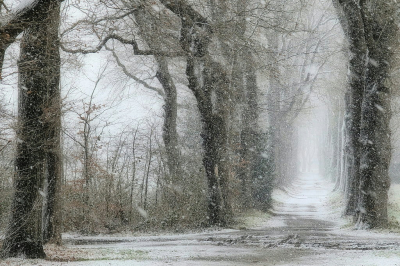 <i class='fa fa-user'></i>&nbsp;boerke&nbsp;|  Sneeuwbui Lochemse Berg&nbsp; <i class='fa fa-eye'>&nbsp;67</i> &nbsp;<i class='fa fa-thumbs-up'>&nbsp;5</i> &nbsp; <i class='fa fa-comment-o'>&nbsp;6</i>