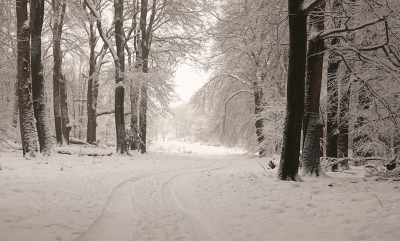 <i class='fa fa-user'></i>&nbsp;nelappelmelk&nbsp;|  Winterse omstandigheden&nbsp; <i class='fa fa-eye'>&nbsp;39</i> &nbsp;<i class='fa fa-thumbs-up'>&nbsp;1</i> &nbsp; <i class='fa fa-comment-o'>&nbsp;1</i>