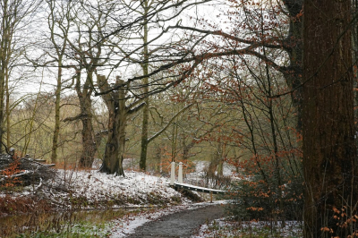 <i class='fa fa-user'></i>&nbsp;hesterb&nbsp;|  Elswout sneeuwplaatje 2026&nbsp; <i class='fa fa-eye'>&nbsp;51</i> &nbsp; <i class='fa fa-comment-o'>&nbsp;1</i>