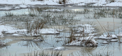 <i class='fa fa-user'></i>&nbsp;guidomwm&nbsp;|  Landschap  bijzonder gedeelte&nbsp; <i class='fa fa-eye'>&nbsp;32</i> &nbsp;<i class='fa fa-thumbs-up'>&nbsp;1</i> &nbsp; <i class='fa fa-comment-o'>&nbsp;4</i>