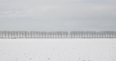 <i class='fa fa-user'></i>&nbsp;ko katsman&nbsp;|  Uitzicht vanaf de Middenweg&nbsp; <i class='fa fa-eye'>&nbsp;37</i> &nbsp; <i class='fa fa-comment-o'>&nbsp;5</i>