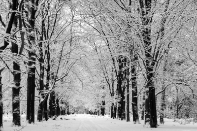 <i class='fa fa-user'></i>&nbsp;David&nbsp;|  Overdadig sneeuwen&nbsp; <i class='fa fa-eye'>&nbsp;29</i> &nbsp;<i class='fa fa-thumbs-up'>&nbsp;1</i> &nbsp; <i class='fa fa-comment-o'>&nbsp;1</i>