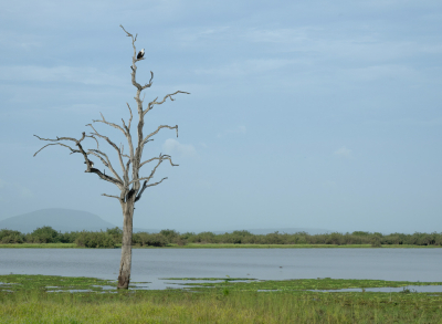 <i class='fa fa-user'></i>&nbsp;JeroenAsilia&nbsp;|  Afrikaans landschap&nbsp; <i class='fa fa-eye'>&nbsp;12</i> &nbsp; <i class='fa fa-comment-o'>&nbsp;0</i>